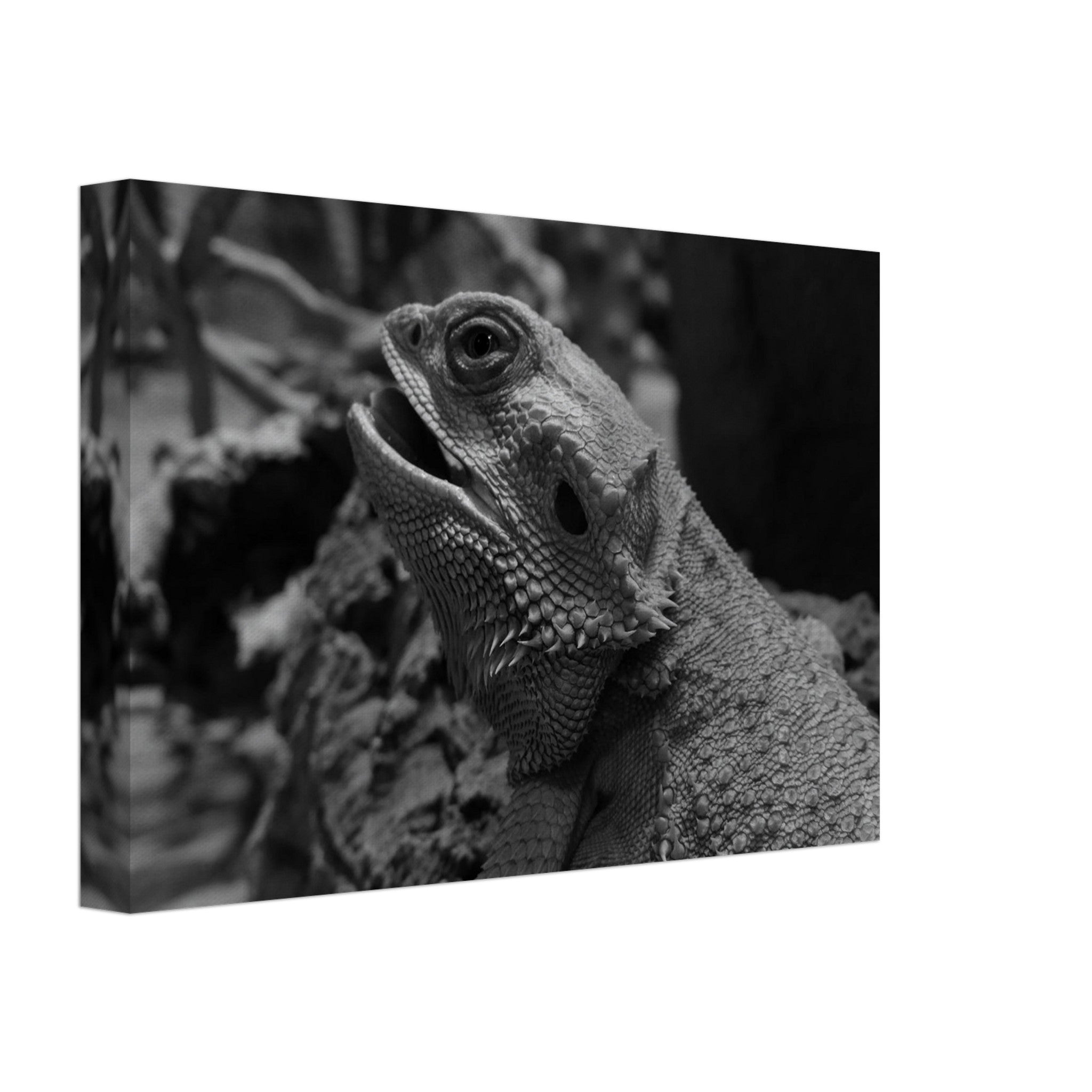 67472325-b852-4fe1-a1ed-611db176adaf