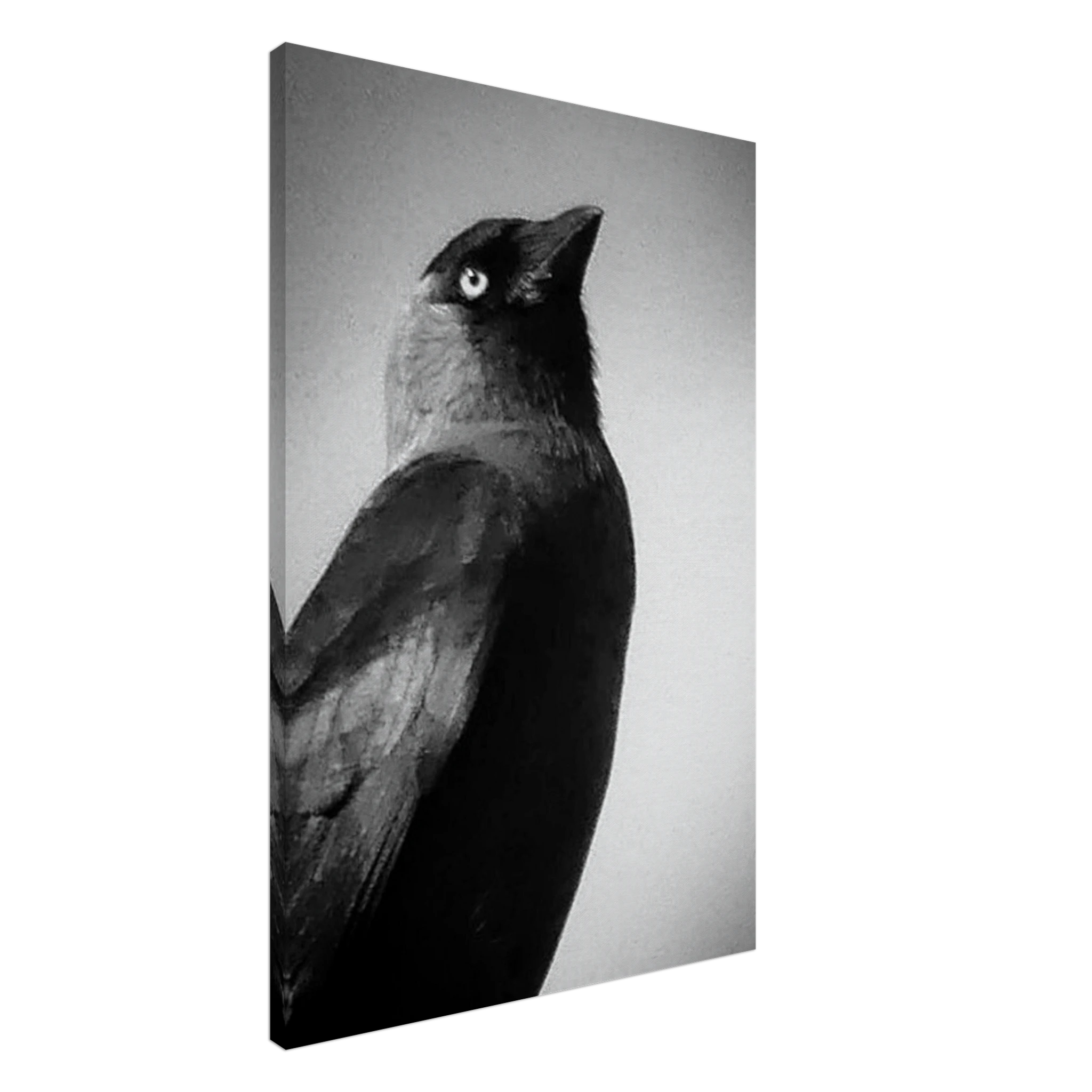 76738ac0-99c8-4e0c-87d1-092c6a1d74dc