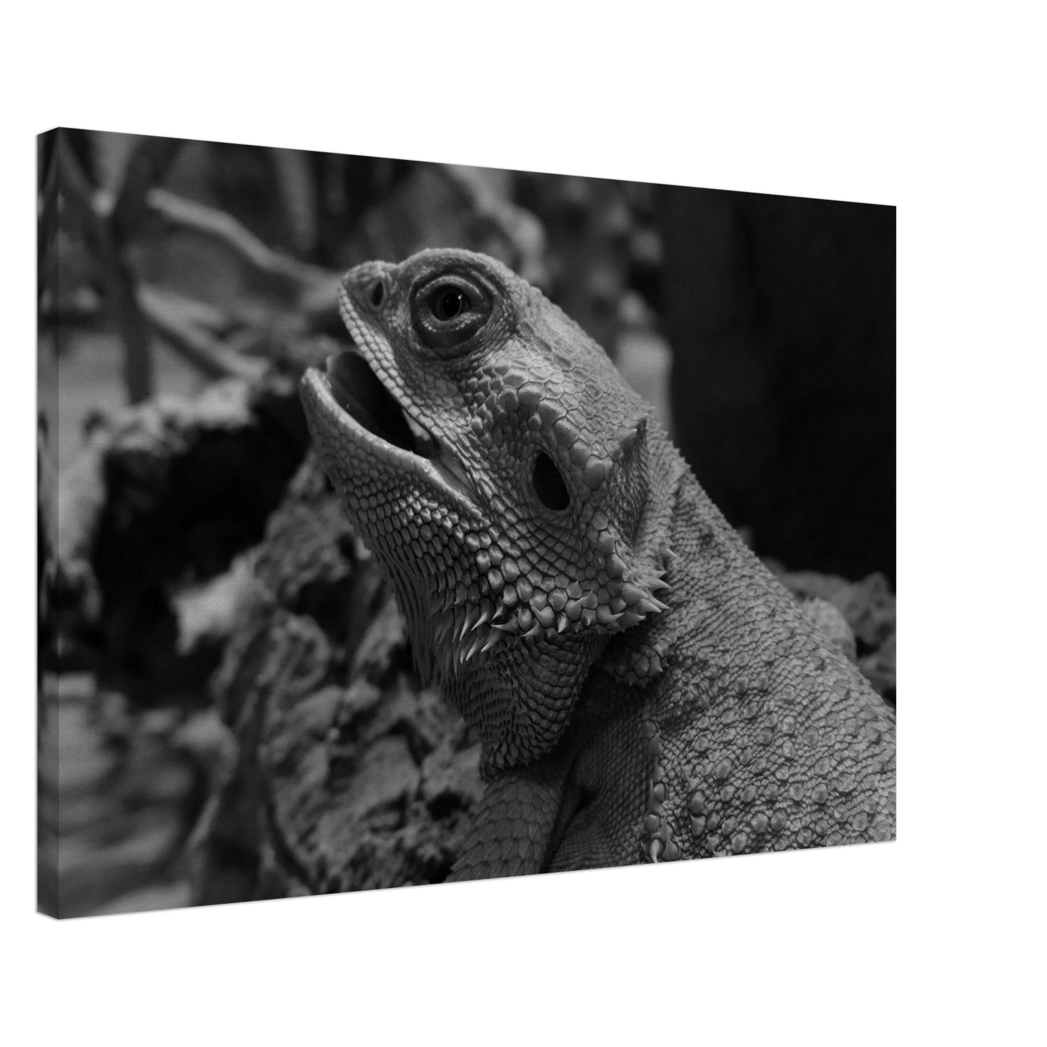 cf1e9263-06e5-4665-9757-db9af6ed4503