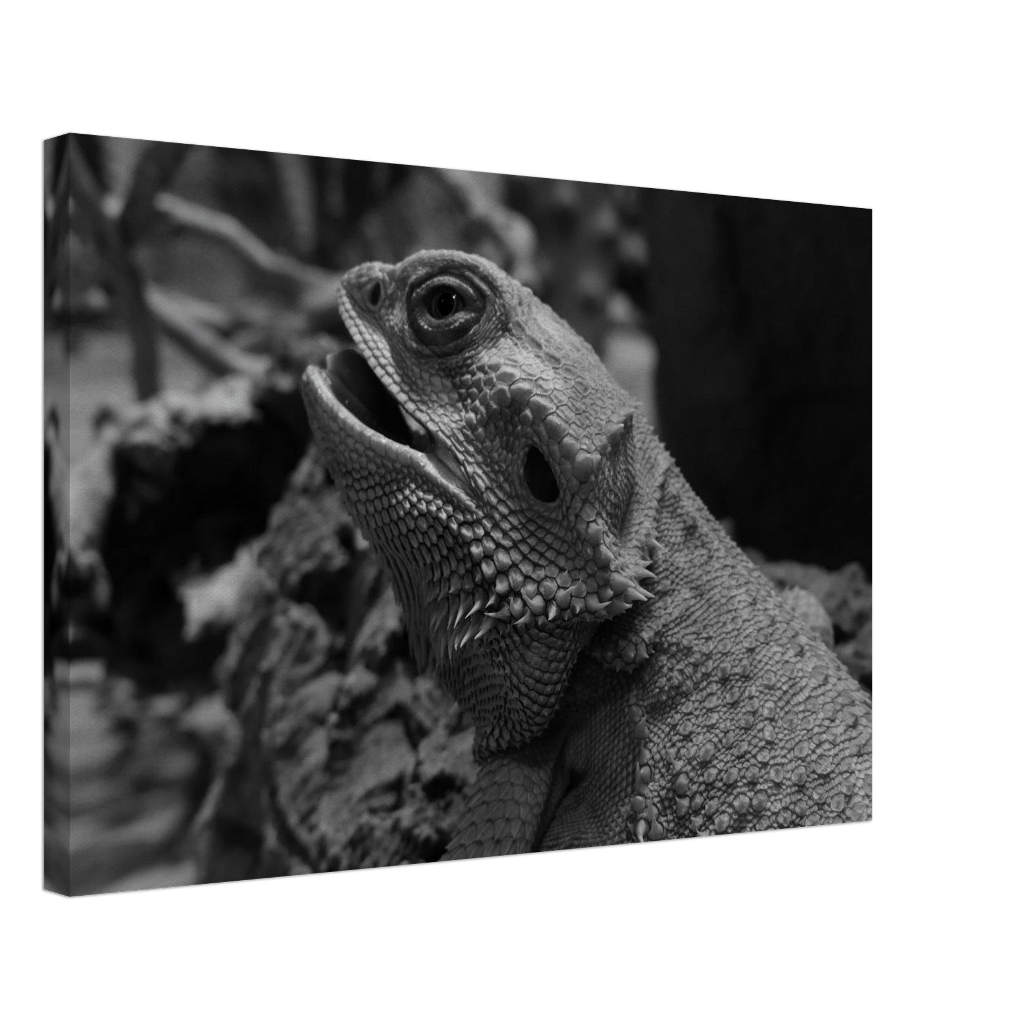 cf8e3ff5-699b-4156-a389-ced3bcfd7b51