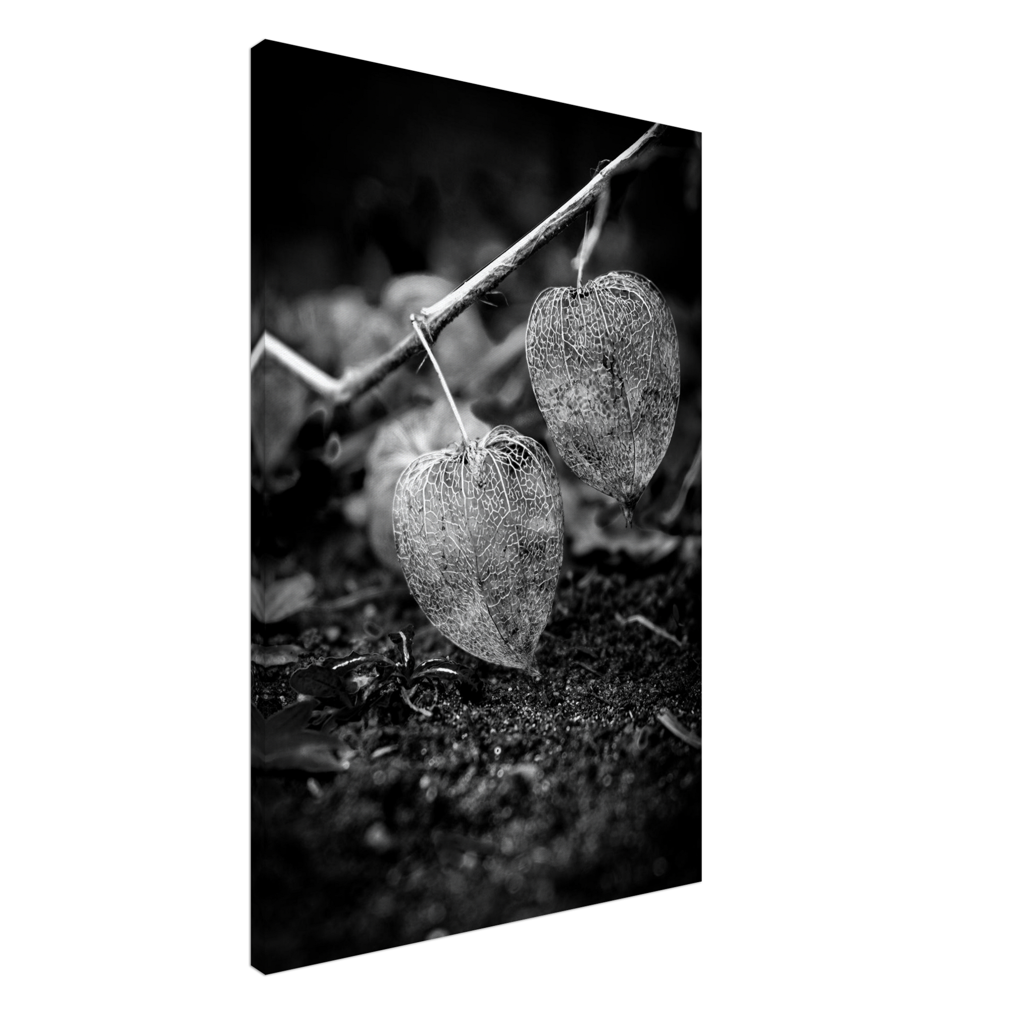 dc804bbc-2f0d-402a-a624-5a6e2dd86885