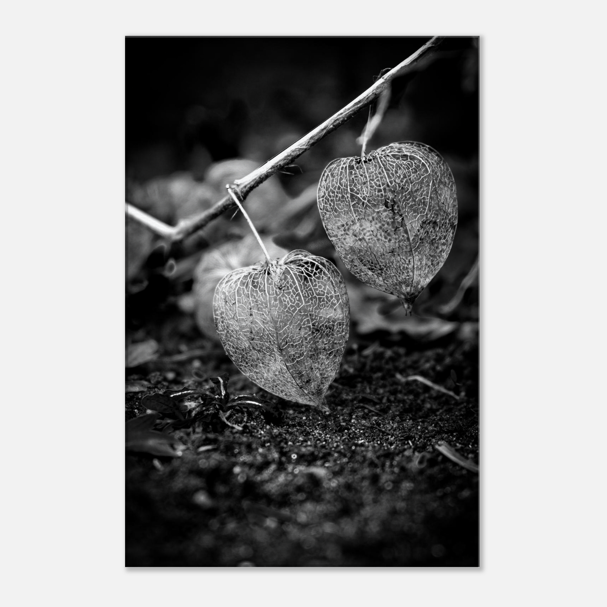 ef1cb97a-d7e8-4946-a5cc-cd12c74e7aba