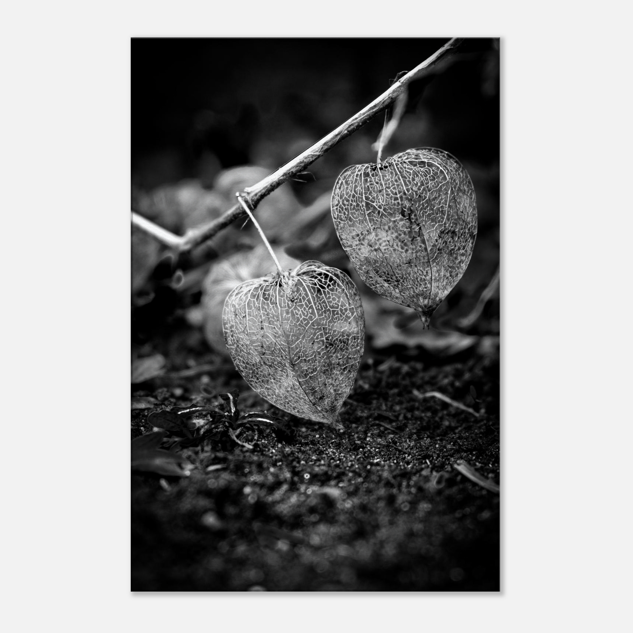 1d44bb04-3b0b-4ca2-9466-881222668caa