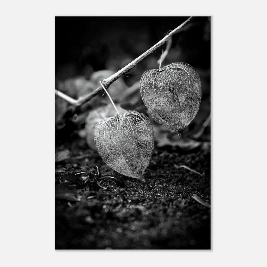 49b645c3-4ce4-48bb-8c89-fb55b150068b