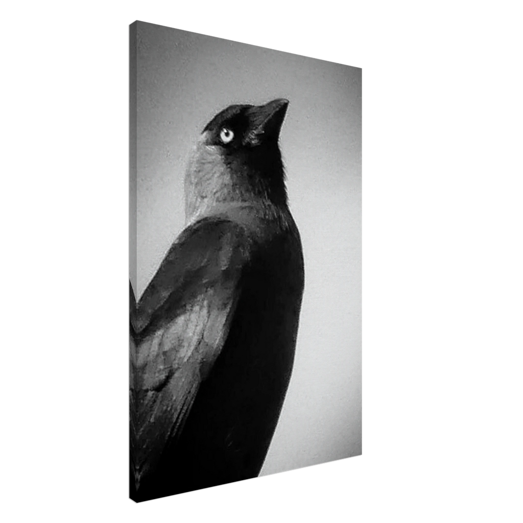 76738ac0-99c8-4e0c-87d1-092c6a1d74dc