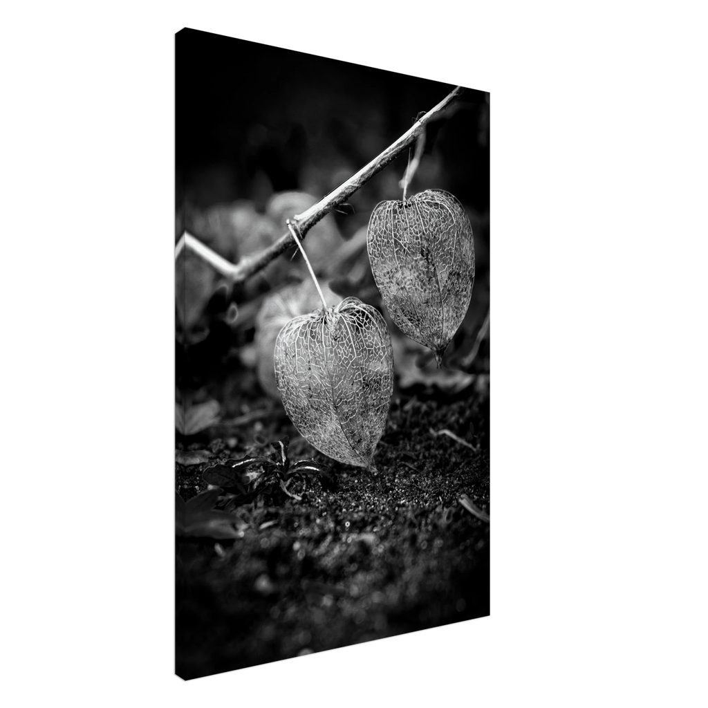 Das Bild "Leichtigkeit" auf Leinwand