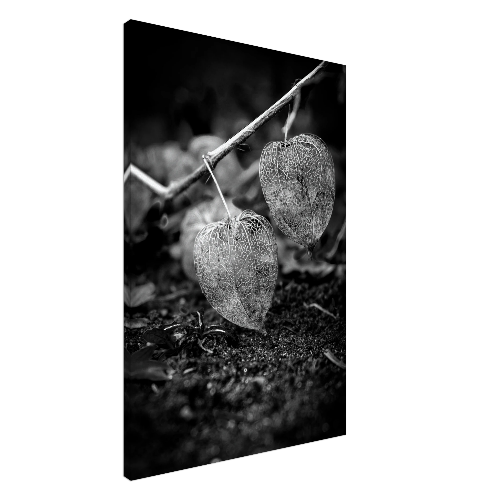 Das Bild "Leichtigkeit" auf Leinwand