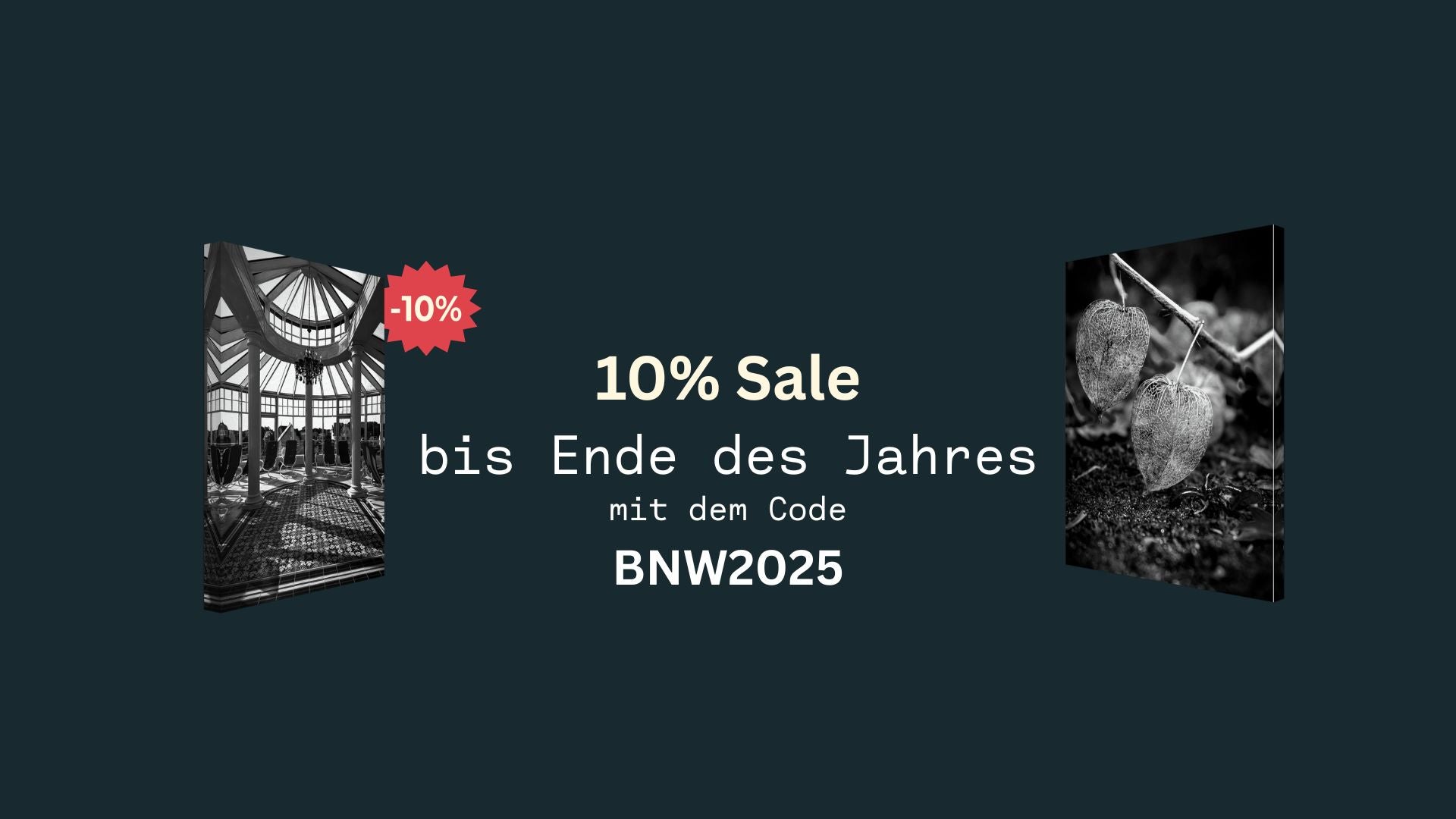 Headerbild des Shops